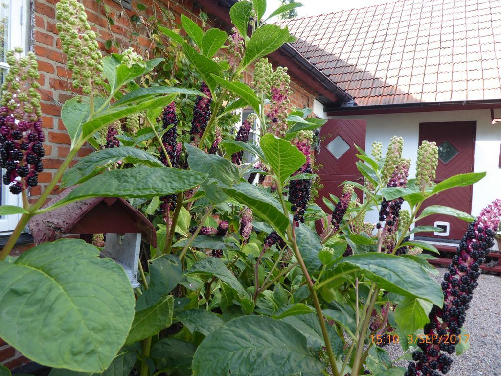 Akarpsvaegen Vacation Home Trelleborg Bagian luar foto